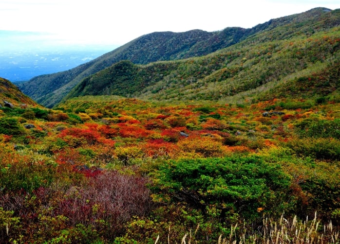 那須（栃木県）