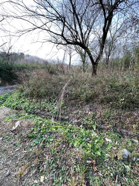 栃木県那須郡那須町大字高久丙（那須バケイションランド）土地 O様 No.12