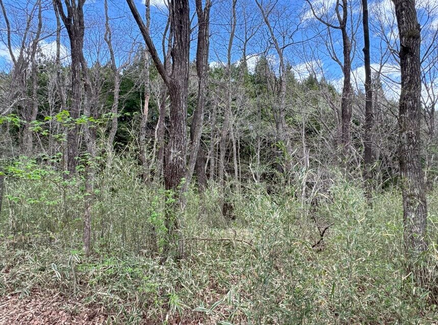 長野県下伊那郡阿智村（あららぎ別荘地）　土地　K様　  No.15