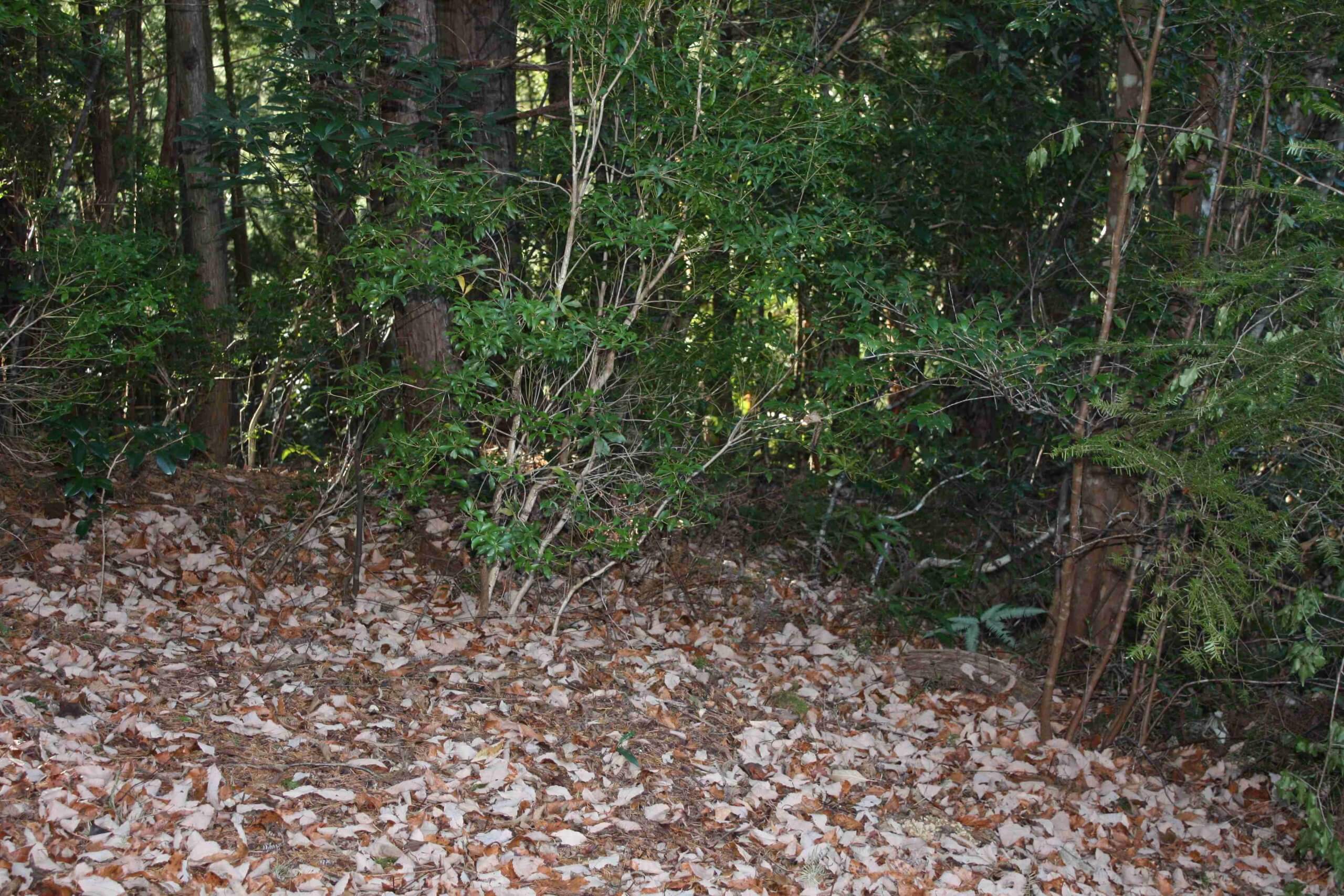 栃木県那須郡那須町大字高久乙　土地　T様 No.21