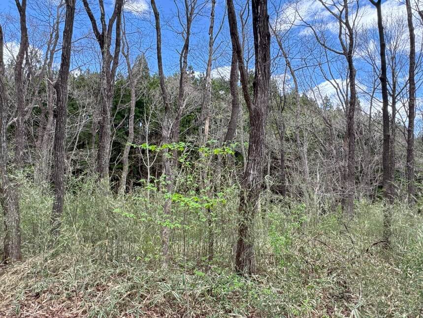 栃木県那須郡那須町大字高久丙（平和郷別荘地）　土地　H様 No.25