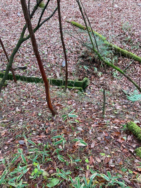 茨城県鹿島郡鉾田町大字大竹　土地　Y様 No.29