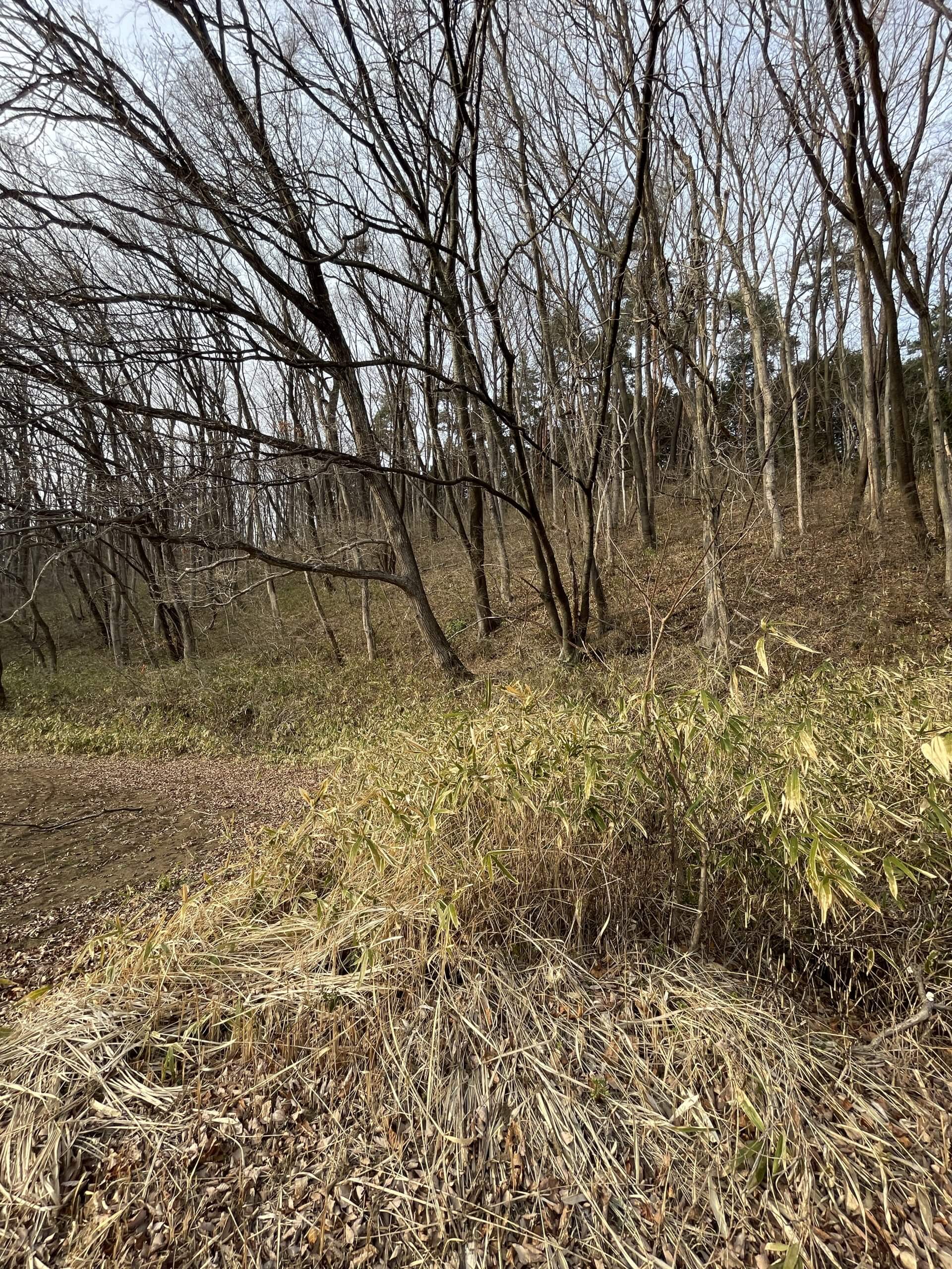 長野県諏訪郡富士見町境字笹原　土地　I様　　No.55