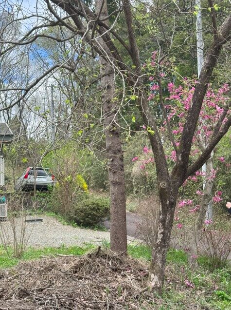 栃木県那須郡那須町高久丙（りんどう湖村）　戸建　M様 No.33