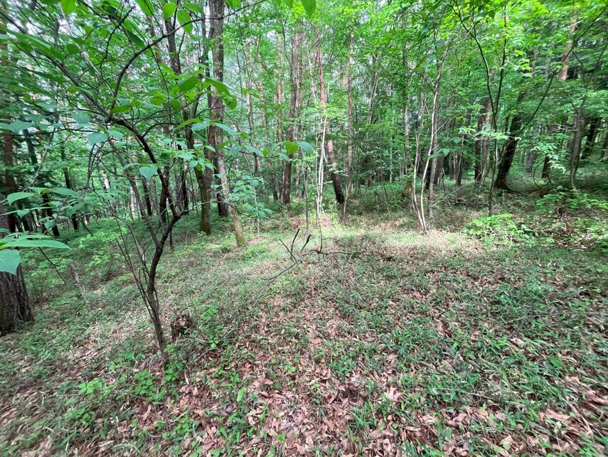 長野県諏訪郡富士見町（青木の森）土地　K様　No.34