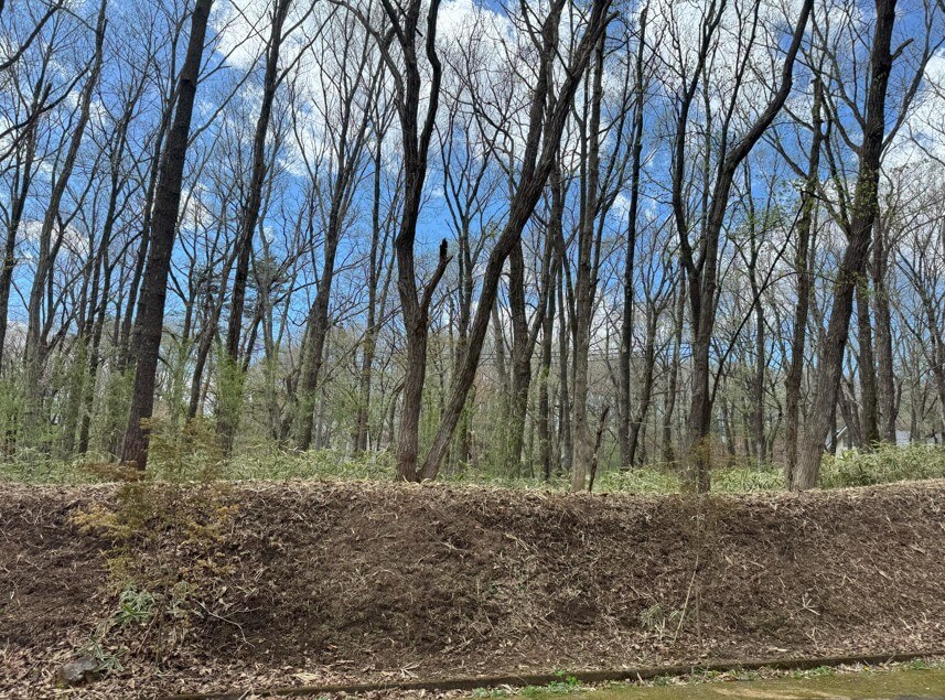 岡山県美作市　土地　Y様　No.36