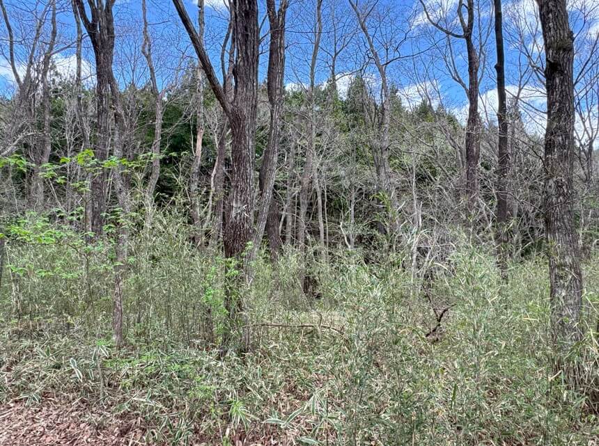 長野県北佐久郡立科町　土地　Y様　No.41