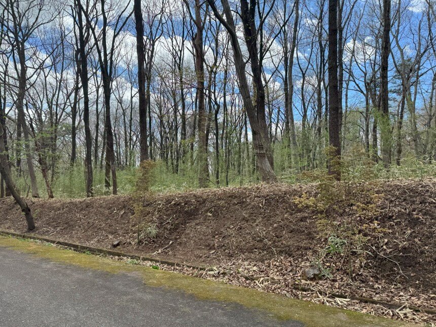 静岡県浜松市天竜区春野町堀之内　土地　M様　No.45