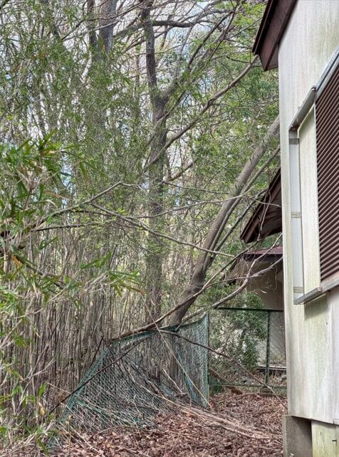 石川県羽咋郡志賀町矢蔵谷　土地　T様　No.47