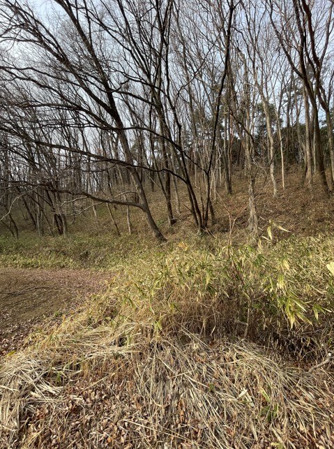長野県長和町姫木平　土地　M様　No.50