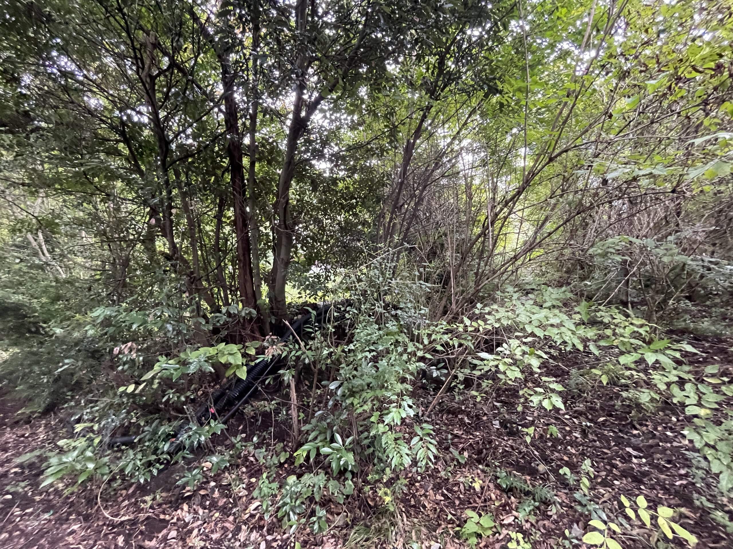 静岡県田方郡函南町畑毛字細毛山　土地　B様　No.69