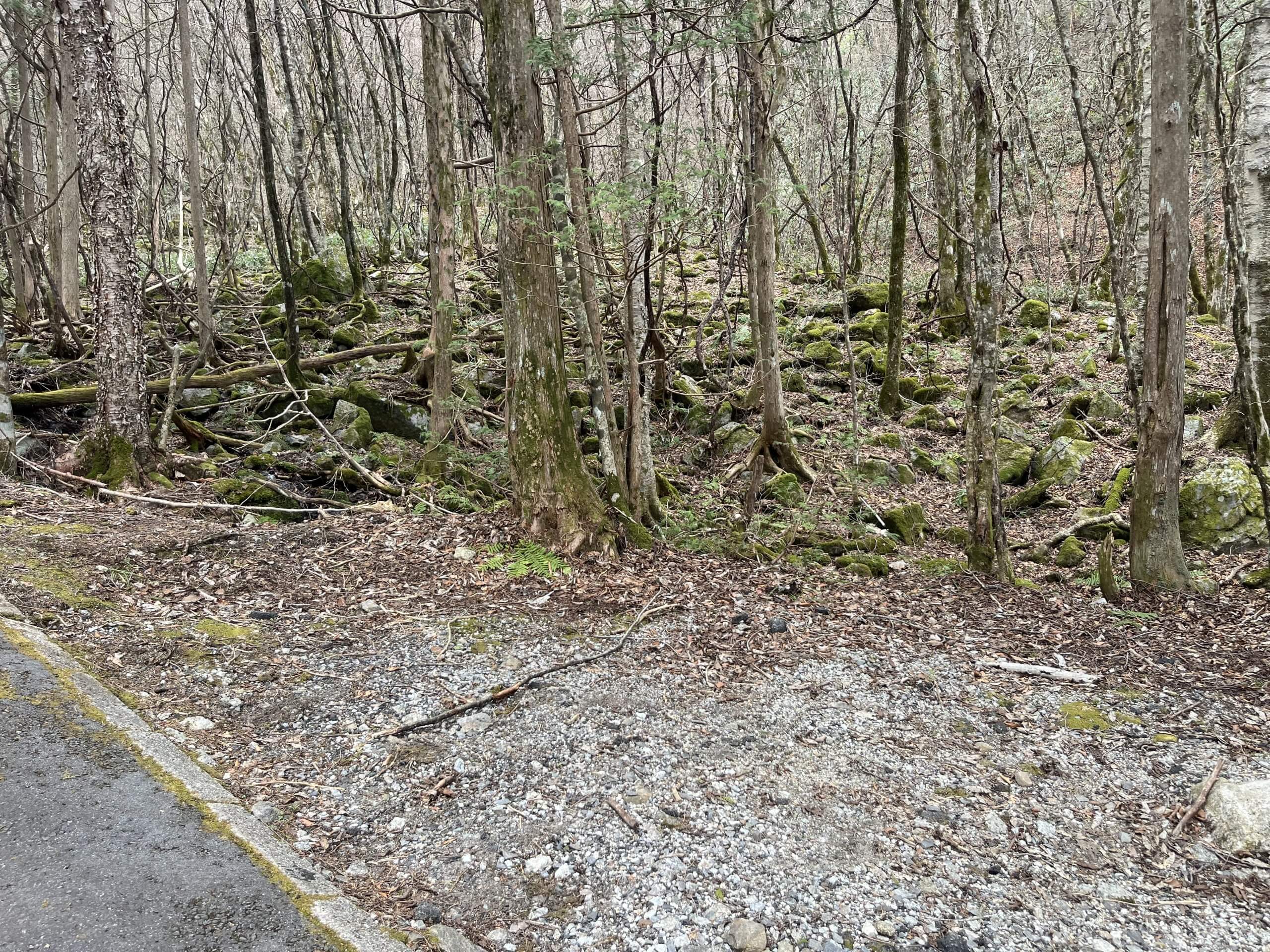 広島県江田島市能美町　土地　A様　No.72