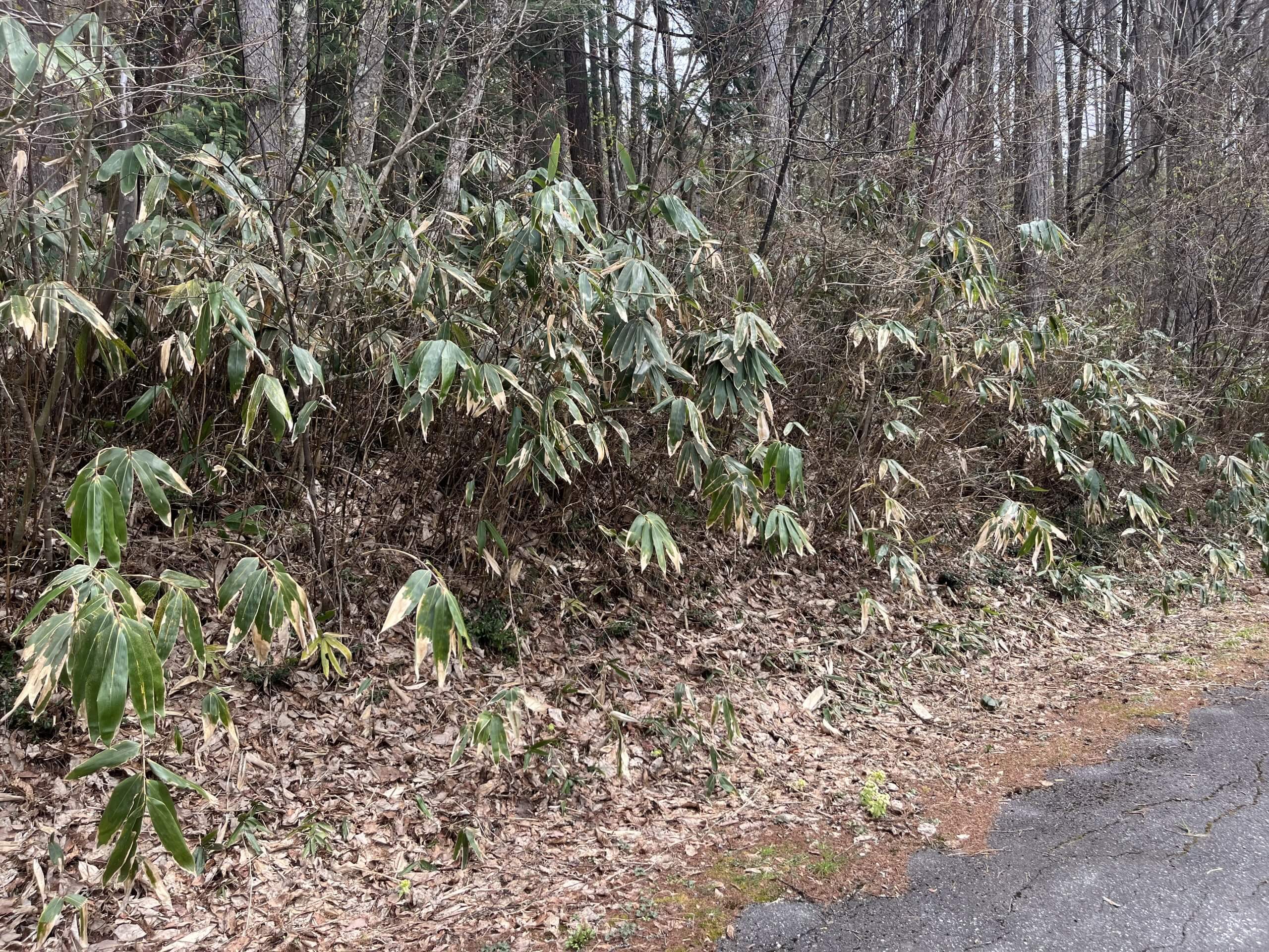 栃木県那須塩原市青木　土地　K様　No.67