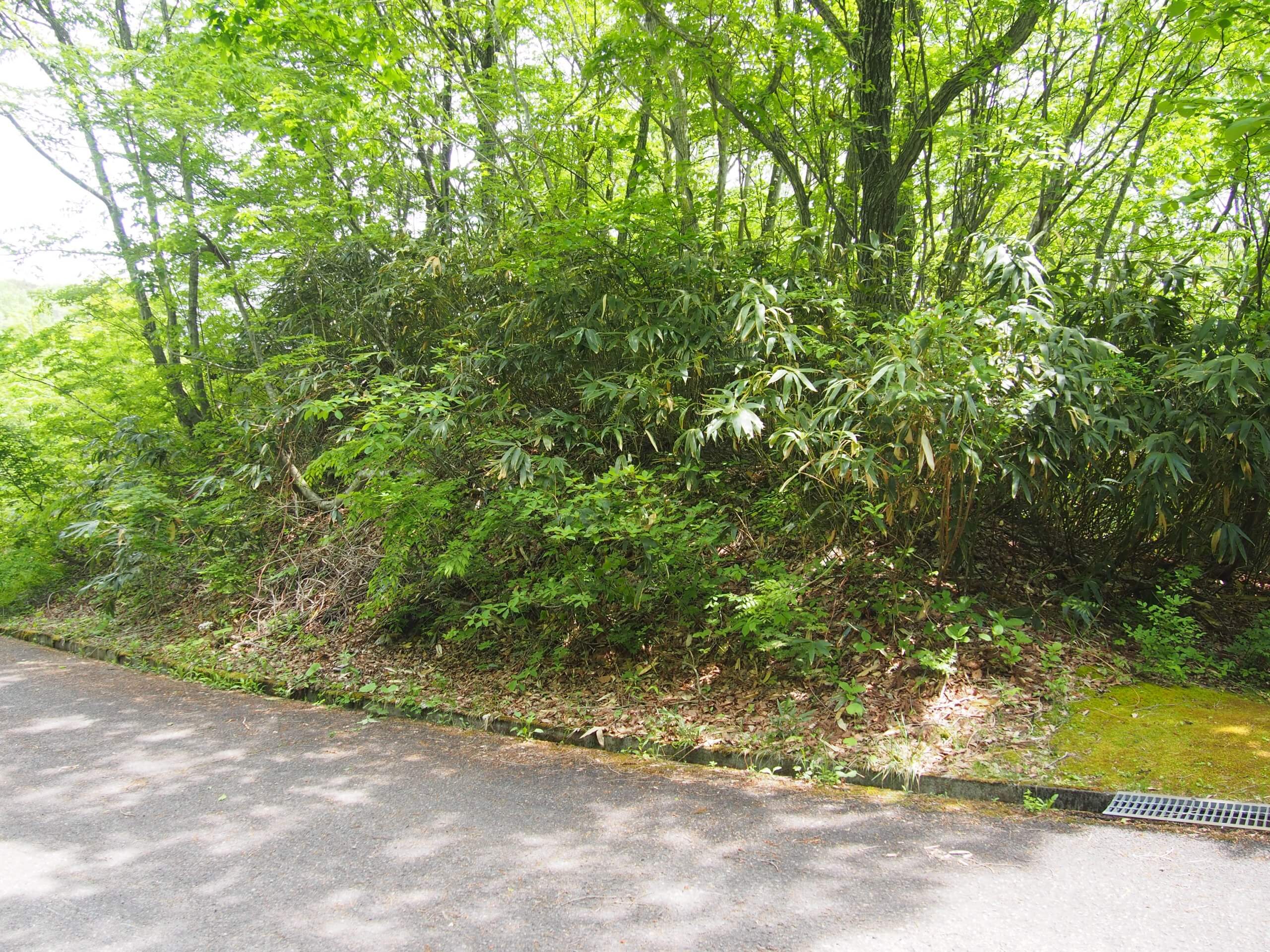 山梨県南都留郡鳴沢村　土地　N様　No.61