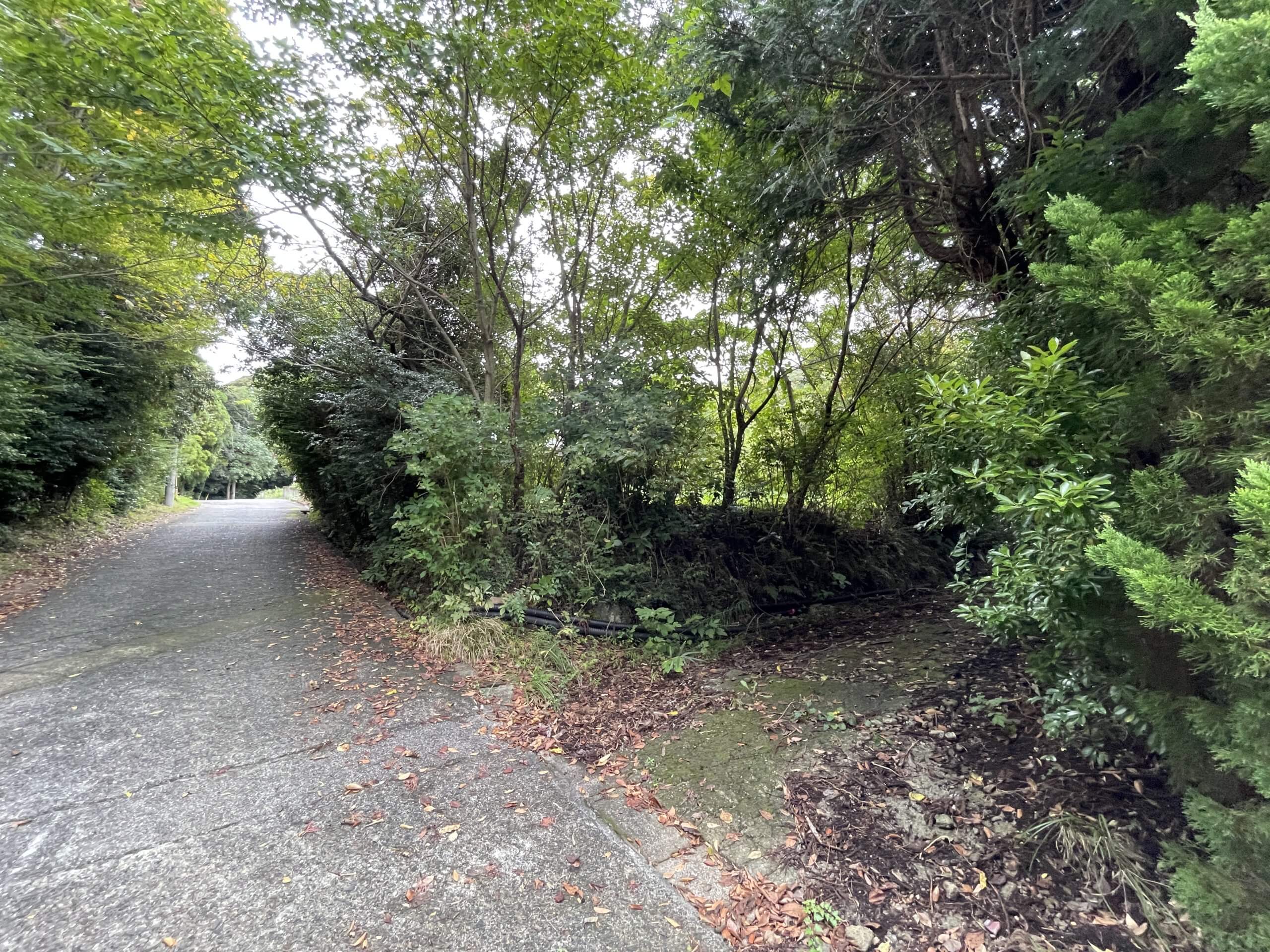 栃木県那須郡那須町大字豊原丙　土地　E様　No.91