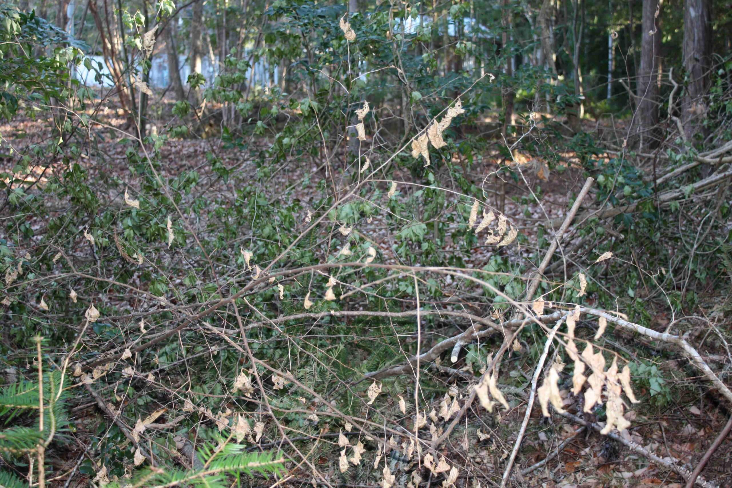 宮城県多賀城市笠神　土地　S様　No.110