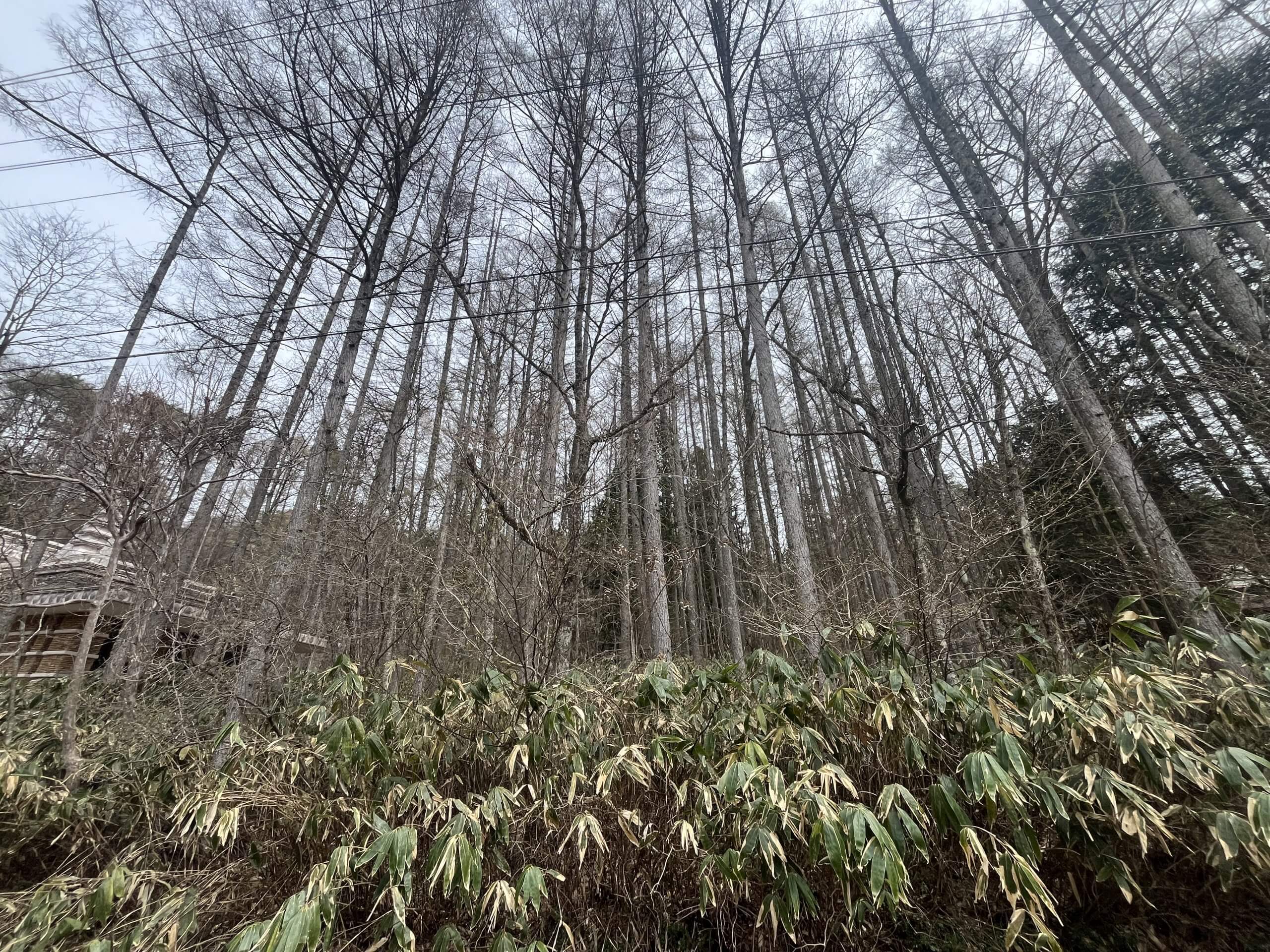 岐阜県土岐市下石町　土地　O様　No.141
